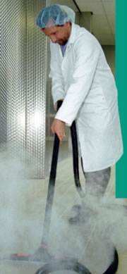 Steam cleaning services